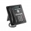IP PHONE 1608-I icon only